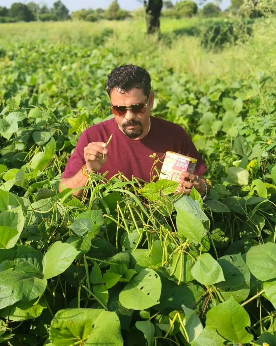 Dmart SPot Combo - Ayutripowder